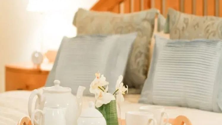 Essentials To Have for Overnight Visitors