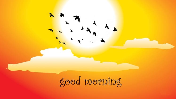 Good Morning Images