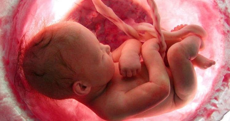 Carolina Cord Blood Bank and Collection Hospital List