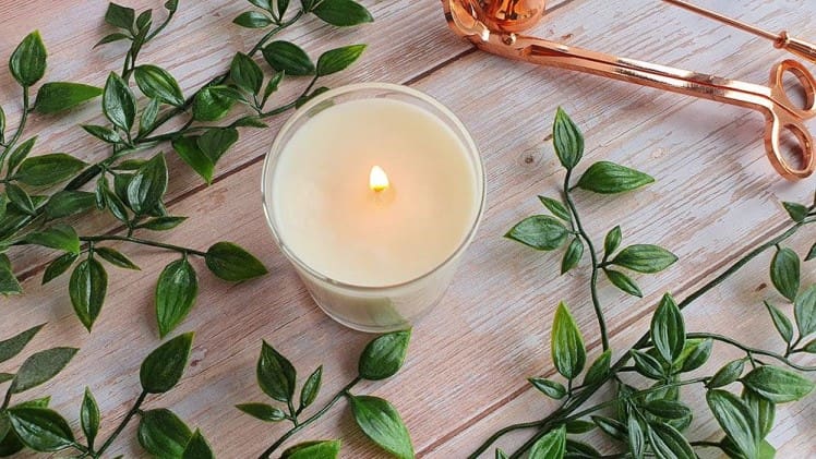 Fragrance Candles, And Handmade Products For Eco-conscious Shoppers