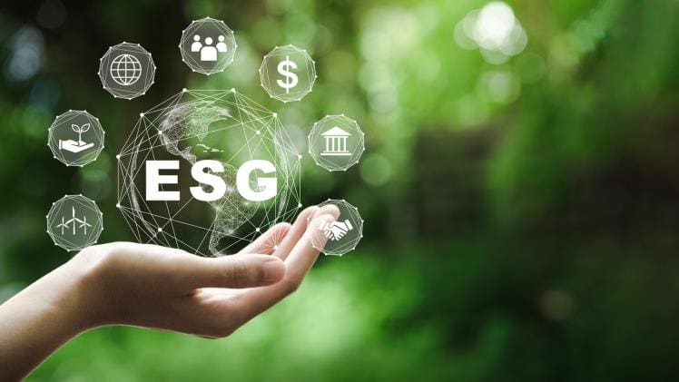 How Does The Esg Scoring System Work?