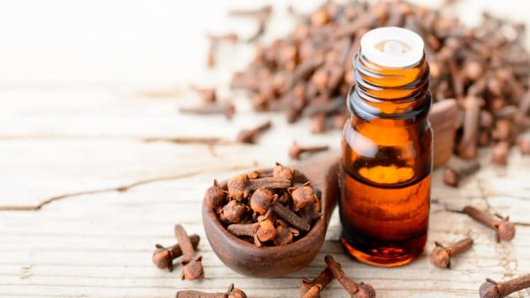 The Wonders of Clove Essential Oil: Nature’s Versatile Remedy