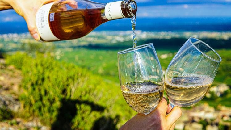 Uncovering the Secrets of Natural Orange Wines: a Guide to Finding the Best Bottles