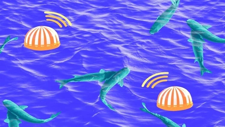 Data Predictive Analytics and AI in Fish Farming