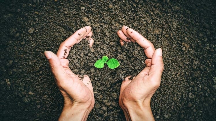 Fulvic Acid Content Matters: Why 250mg per Serving Should be the Minimum