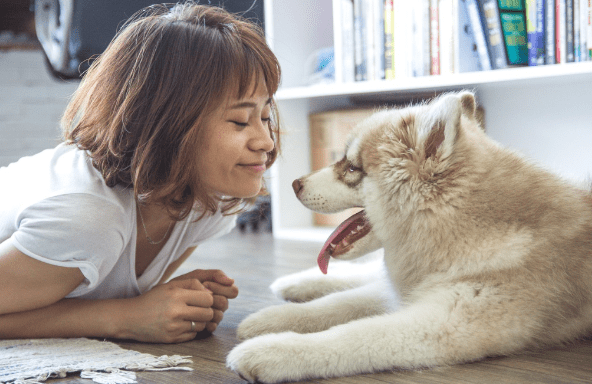 Shark Robot Vacuum Cleaners: The Ultimate Answer to Pet Hair Woes