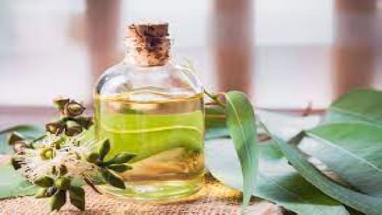 The Benefits of Essential Oil Sprays for Your Home