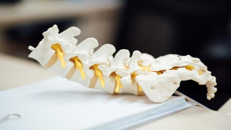 The Importance of Consulting a Back and Spine Specialist for Pain