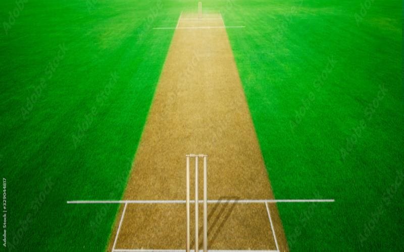 Transforming the Cricket Games Landscape with Cutting-Edge Technology