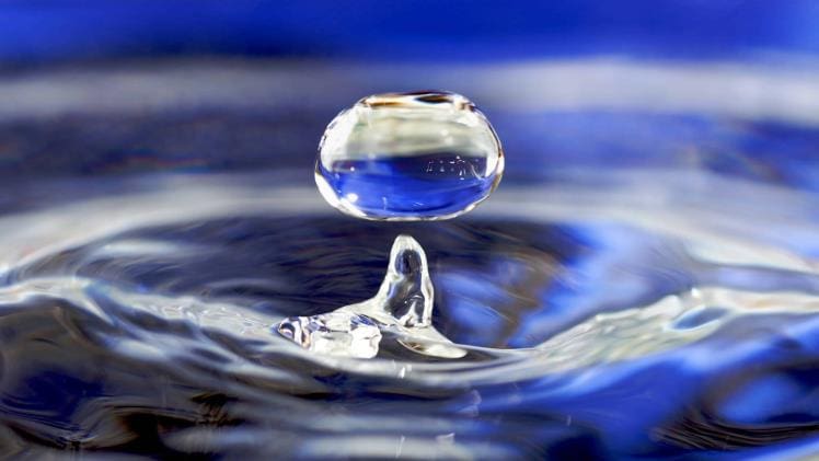 Water 101: Exploring Impacts of Different Liquids