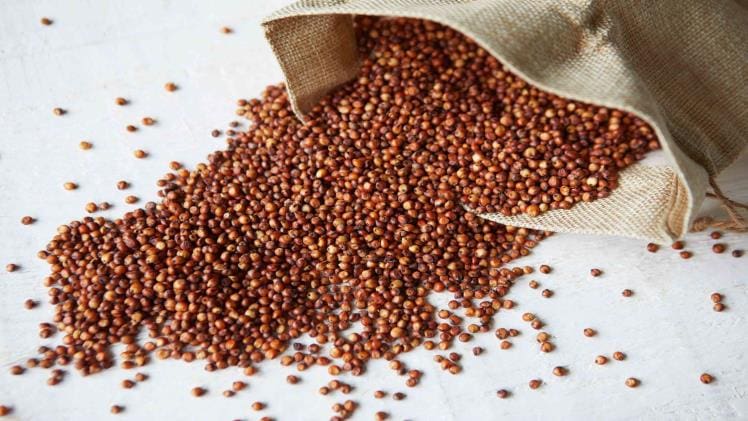 What’s the Difference in Low, Medium, and High Seeds?