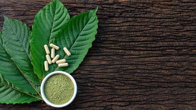 5 Key Benefits of Kratom For Enhanced Productivity